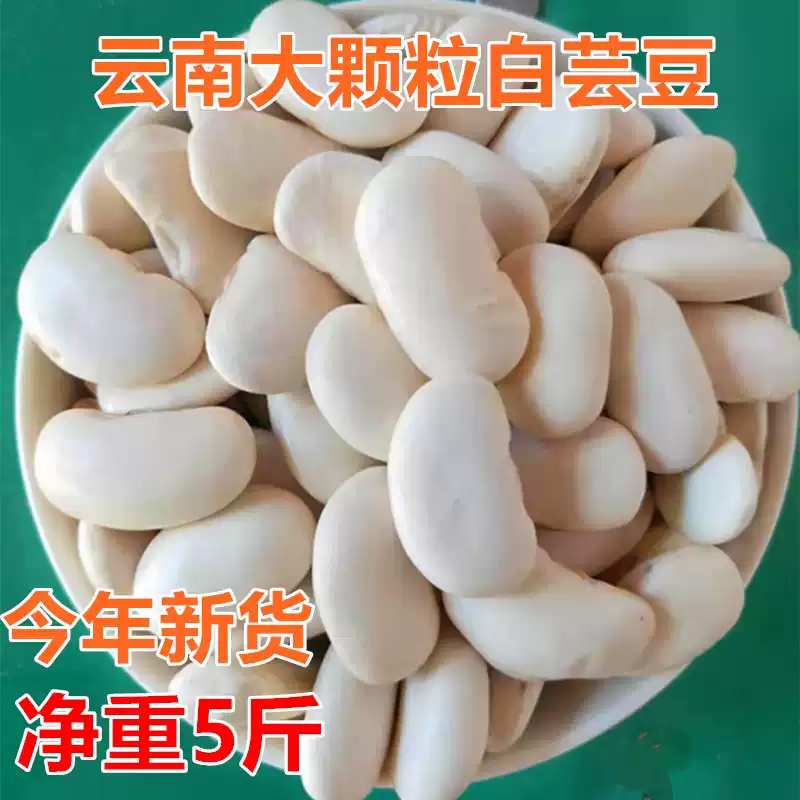5斤白芸豆大白豆云南大白芸豆农家自产白云豆五谷粗粮