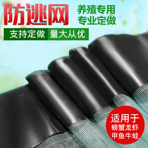 Lobster anti-escape net crab frog Loach rice field eel breeding anti-escape net crayfish fence thick anti-escape cage