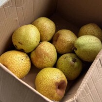 La zone de froid du ciel gèlera et naffectera pas la consommation. Il y a du jaune avec lesprit vert ne tire pas pour le Cipear médicinal 9 kilos