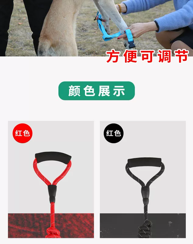 Dog kéo dây pet dog dây trượt mèo tạo tác vest đi bộ chó kích thước trung bình chó chống phá vỡ dây đeo cổ áo - Cat / Dog hàng ngày Neccessities