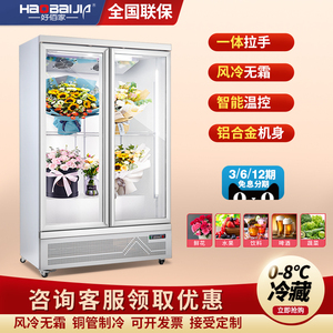 Flower Fresh Fresh шкаф Good Baijia Коммерческий охлажденный шкаф цветок -магазин Основной шкаф ветер Холодный морозильник холодный шкаф цветочный шкаф
