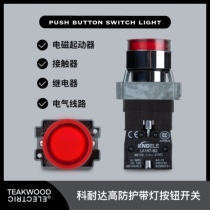 Corneda LA167-B2-BW series with lamp flat head switch button direct reset type self-recovery button Industrial