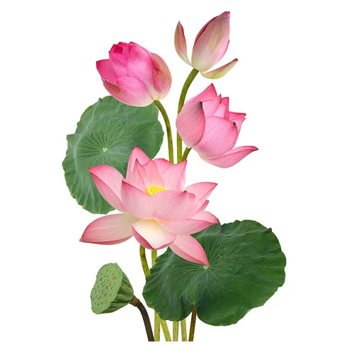 Креативные наклейки на стену, водонепроницаемый туалет, наклейка, в цветочек