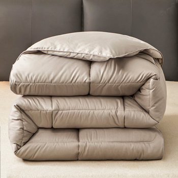 Five-Star Hotel Quilt Core, Hotel Full-Size Feather Velvet Quilt, Single and Double Dormitory Quilt Core, Four-Season Bedding, Winter Quilt