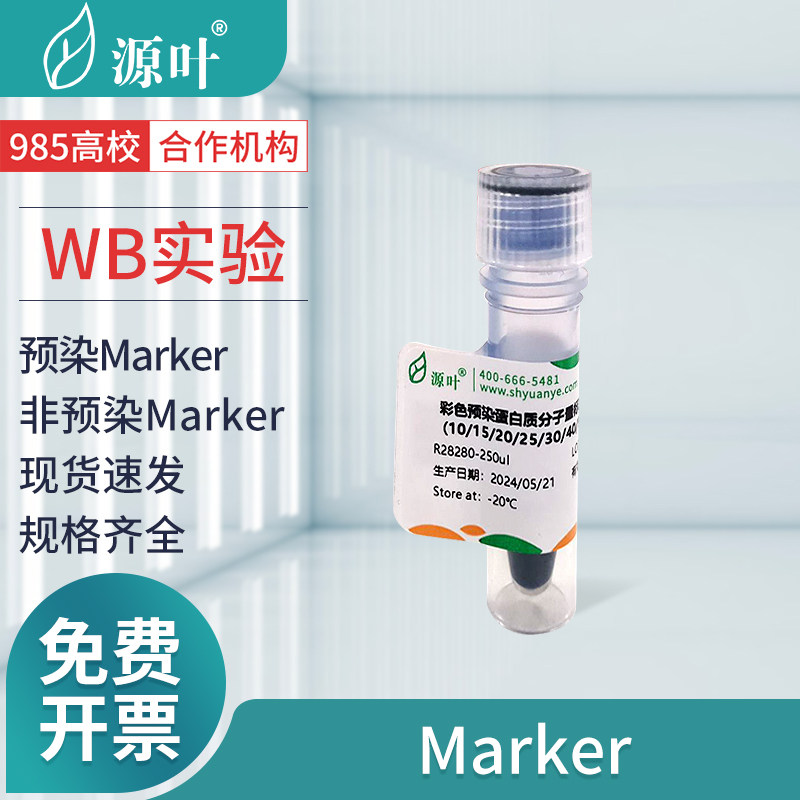 源叶凝胶电泳-Marker预染/非预染Marker彩色预染蛋白质分子量标准