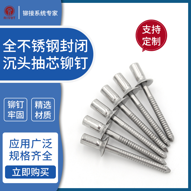 All stainless steel 304 closed countersunk head core pulling rivets Corrosion resistance 3 2 4 GB12616QBF2 countersunk head nails