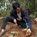 返乡农野生山珍店