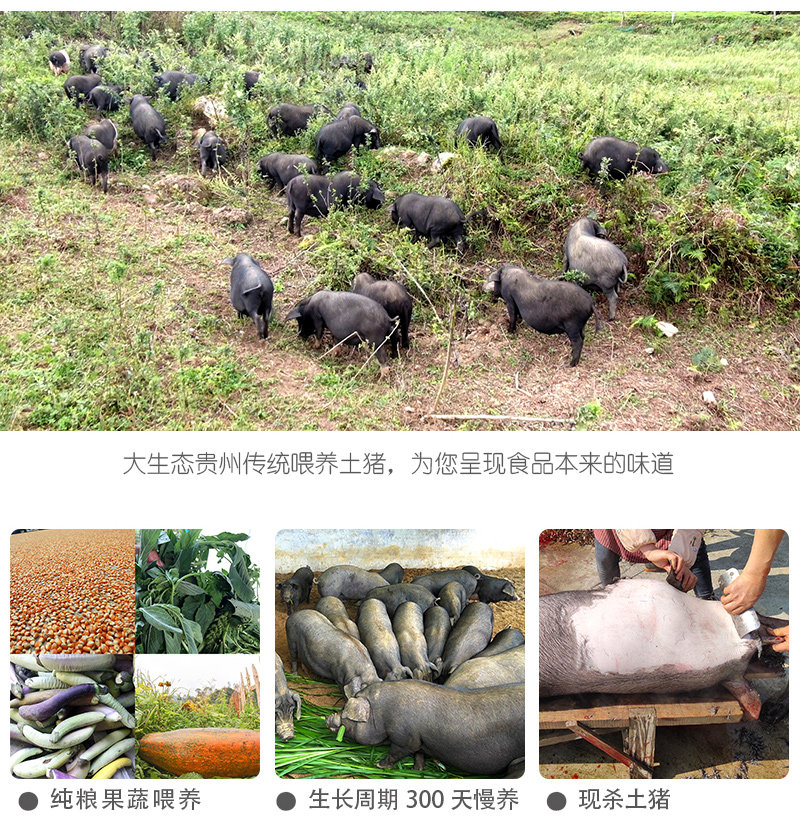 安享好物 安享A级猪油-太朴有机会猪油 国标 