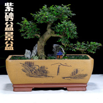 Purple sand flowerpot Oval absorbent stone plant basin extra-large indoor rockery bonsai basin calamus Mountain Stone