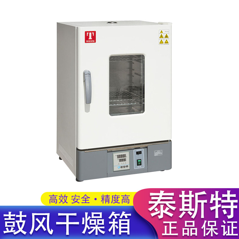 泰斯特 鼓风干燥箱恒温实验箱烘干箱实验箱老化实验箱WGL