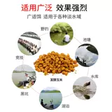 Ферментированные зерновые зерна, гнездо, рыбацкая долина пшеница, библиотека озера, рыбацкая рыбалка, травяной карп, старый алтарь, кукуруза