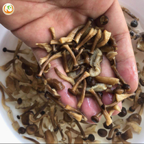 Velvet mushroom dried goods 500g deer fungus soup food materials mushroom edible fungus fresh dried mushroom fungus Yunnan fungus
