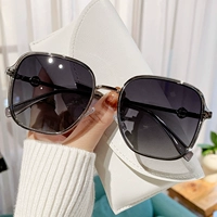 Рамка дракона постепенно серая таблетка#C2 (зеркало с высоким качеством поляризации)