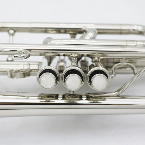 Lei Aozuo B сочетание инструмента золото золотой никель.