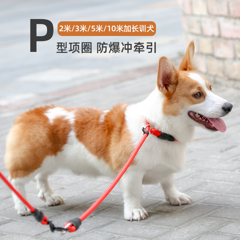 Dog Item Circle P Chain P Rope Training Dog Traction Rope Teddy Small Kirky Border Shepherd Dogs Medium Golden Fur Large Canine Dog Chain