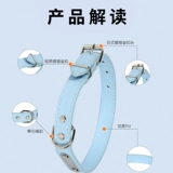 Кожаная кожаная воротника маленькая собака Тедди Белигки Корки Ювелирные изделия из голубо