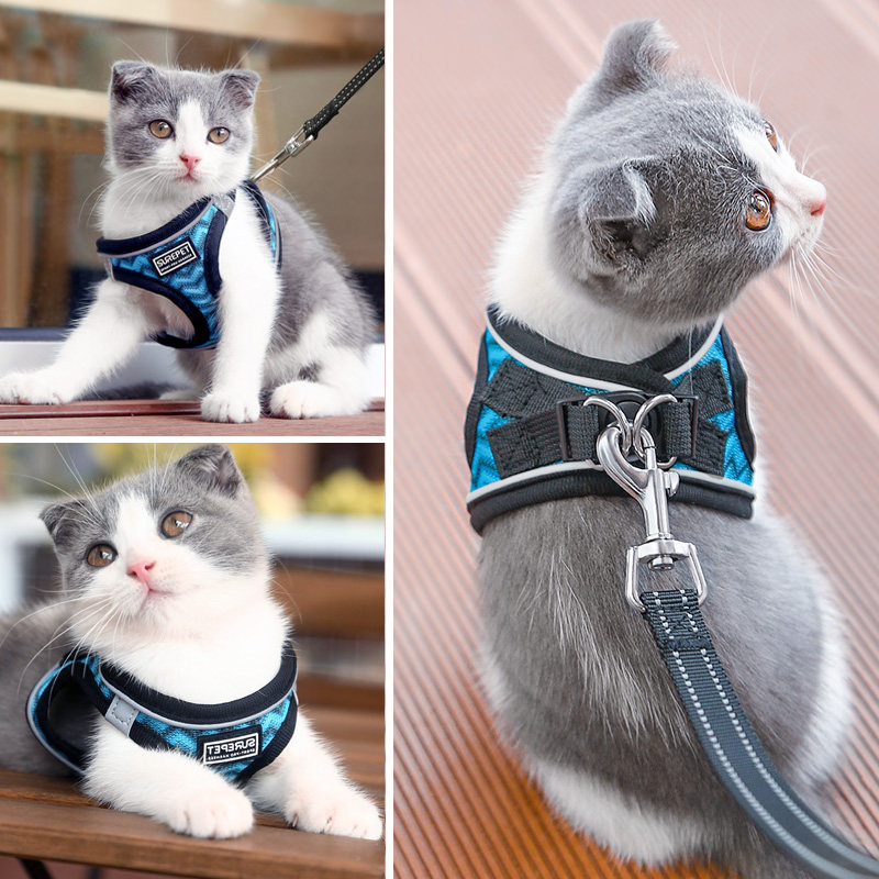 Kitty Traction Rope Anti-Escape Rope Walking Cat Exclusive Pet Vest Type Chest Holding Baby Bag Chain Child Young Cat Escape