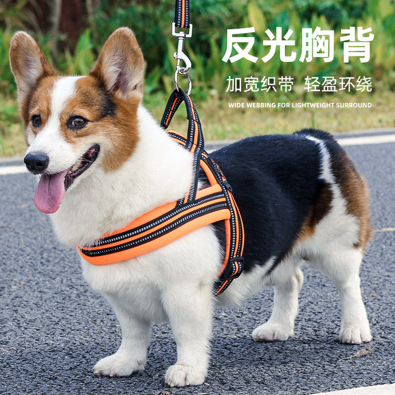 Kokie fou chai dog walking dog rope dog with large dog chain dog vest type traction rope chest holding baby bag Item lap dog rope