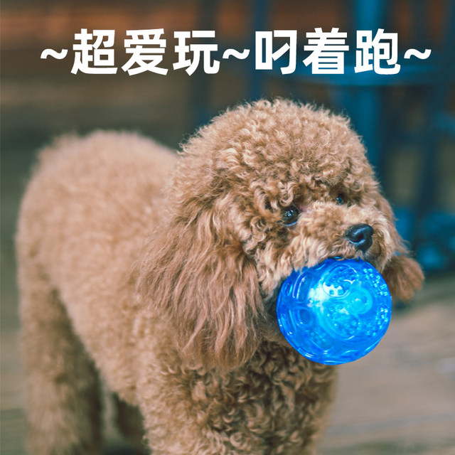 Dog toy alone to relieve boredom artifact sound ball Teddy Bichon Fudge rubber ball small dog teeth grinding and bite-resistant supplies