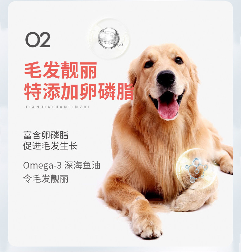 Thức ăn cho chó Timo Bingneng Jinmao Labrador Satsuma Husky chó con quy mô lớn thực phẩm bánh sữa đặc biệt 5 kg - Chó Staples hạt cho chó con
