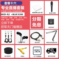 Пакет Sixteen Prontist R2+Blue E300