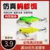 Tough guy Wang Luya bait Mino insect grasshopper bait fishing carp Herring grass carp Silver carp House fish Crucian carp Freshwater