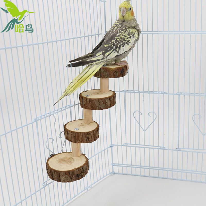 Habird step high parrot toy ; puzzle toy gnaw toy ; parrot climb swing ring ring bird toy