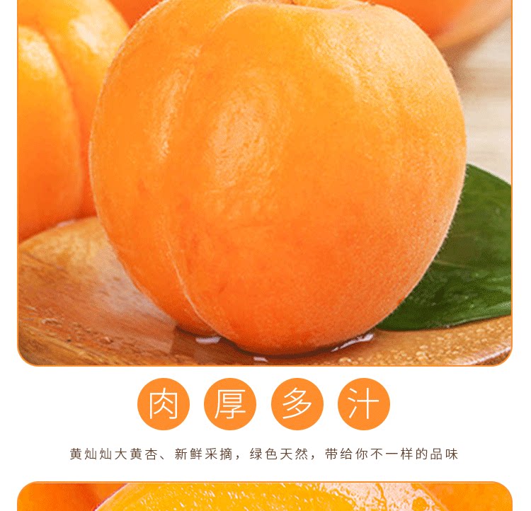 留香岛 山西 金太阳大黄杏 5斤 图8