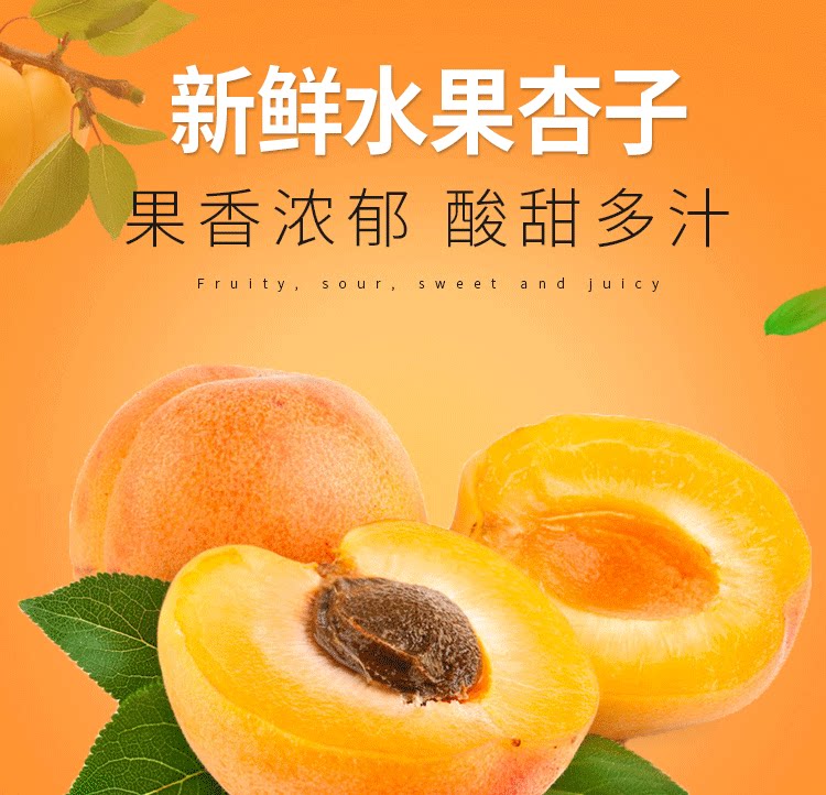 留香岛 山西 金太阳大黄杏 5斤 图1