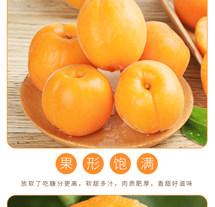 留香岛 山西 金太阳大黄杏 5斤 图10