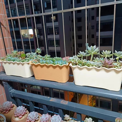 【陌町】郁金花形花盆