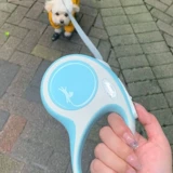 Flael Alien Dog Traction Toving маленькая собака Таро Пурпурная весна Японская большая собака Автоматическая телескопическая цепь собак