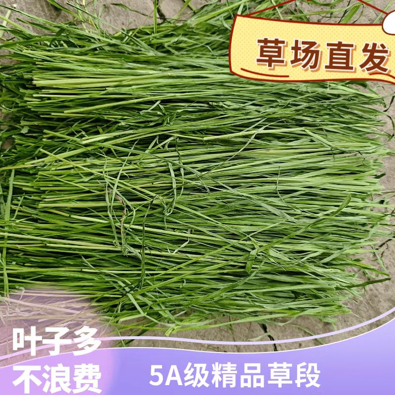 2022 boutique drying Timothy grass segment Rabbit hay chinchilla guinea pig
