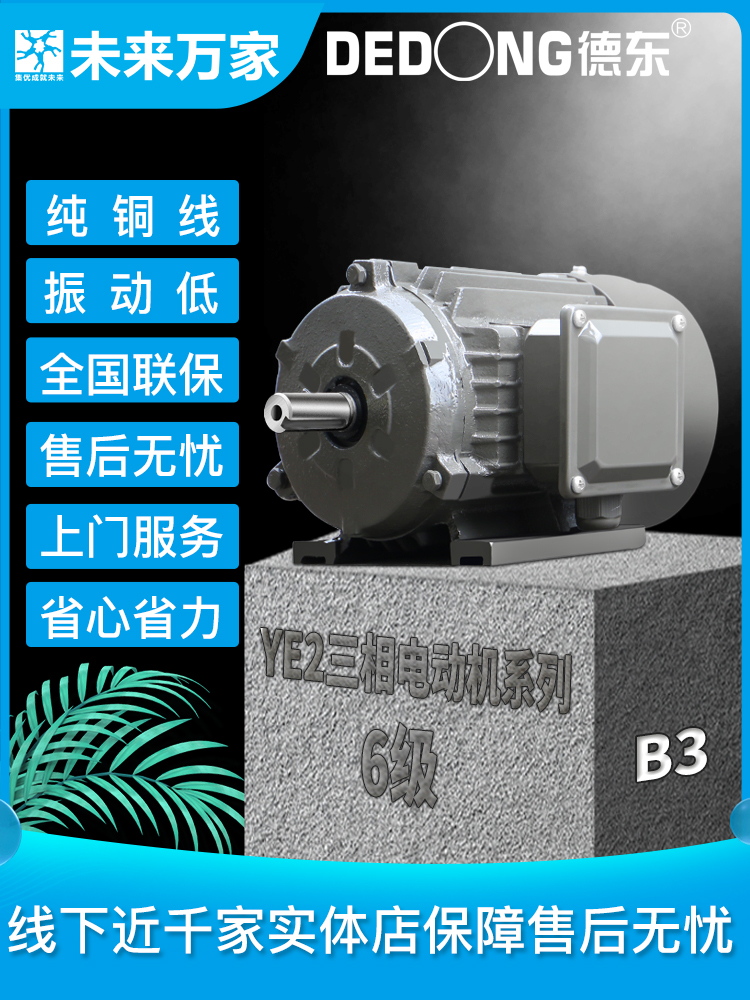 Dedong YE2 national standard horizontal three-phase asynchronous motor 0.75-45KW-6 pole -380V) future wanjia