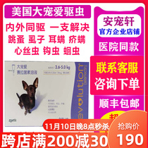 Big pet teddy small dog internal and external integrated deworming drops selamectin solution for dogs to remove ear mites and fleas
