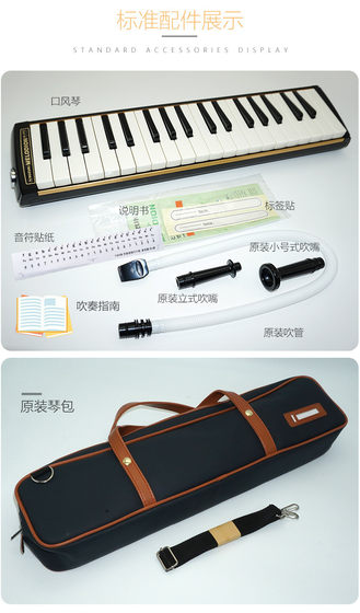 무료 배송 일본 오리지널 수입 스즈키 M-37C 전문 악기 초보자와 학생에게 권장