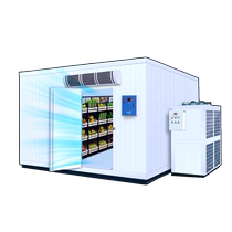 Complete set of cold storage equipment large-scale fruit and vegetable fresh-keeping warehouse air-conditioned warehouse installation refrigeration meat food refrigeration and freezing warehouse customization
