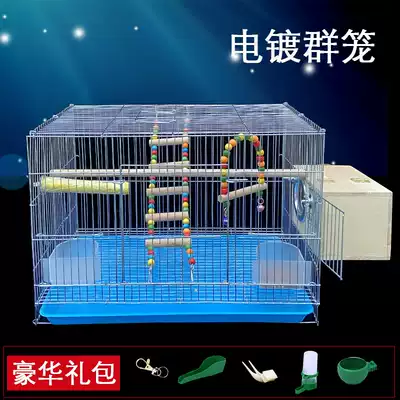 Electroplating galvanized metal parrot bird cage Large large small starling tiger skin Xuanfeng bird cage breeding cage group cage