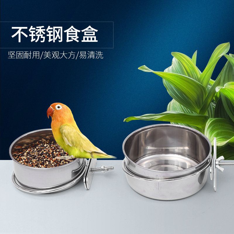 Starling pigeon Parrot bird food box hanging stainless steel bird food cup Parrot feeder with cup holder Bird cage accessories