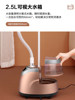 Haier Garment Steamer, Household Handheld Steam Ironing Machine for Clothes, Commercial Clothing Store High-Power Vertical Ironing Machine