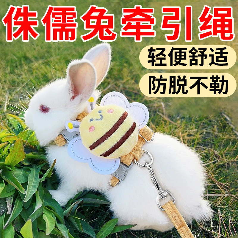 Dwarf rabbits are a must-have when going out! rock rabbit leash anti ...