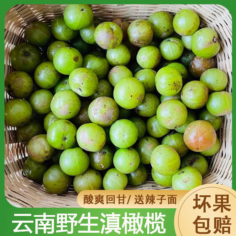 滇橄榄,云南特产的神奇果子,孕妇也能安心享用?🌟-橄榄-淘宝好物网