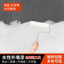 Exterior paint outdoor paint waterproof sunscreen cement blank wall household latex paint outdoor color self-painting paint