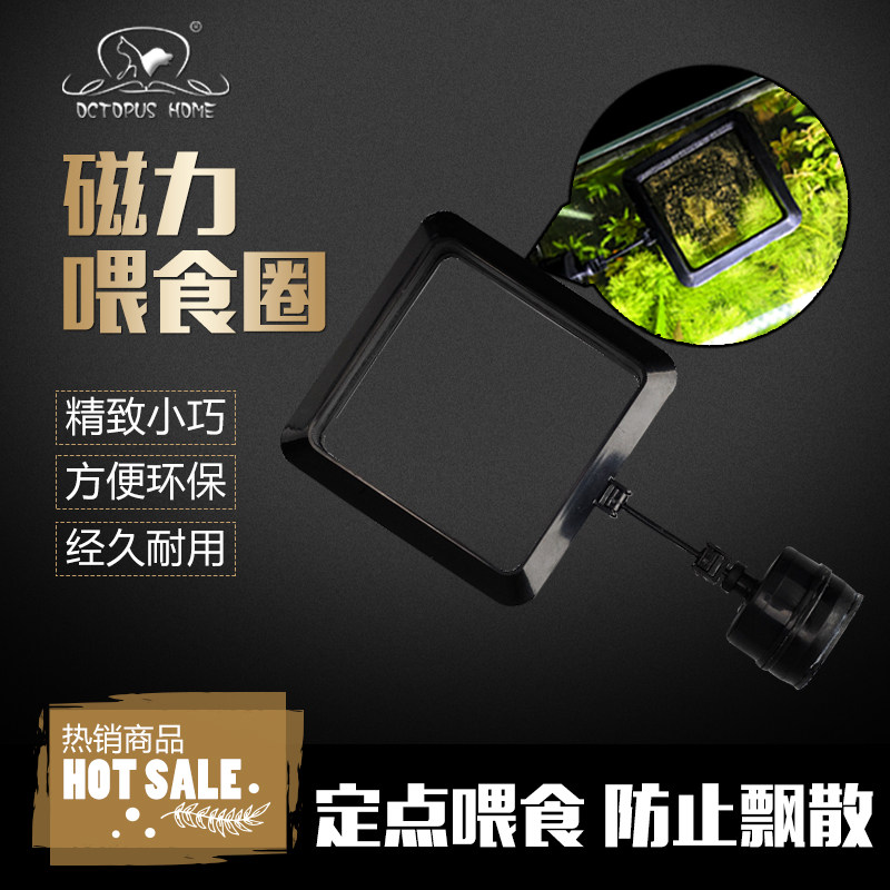 Feeding circle fish feeding vessel feeding circle fish tank suspension magnetic feeder magnetic suction fish food feed anti-drifting