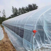 Cute Meat Residence Thickened Greenhouse Skeleton Greenhouse Steel Pipe Steel Pipe Complete cultivation Cultivated Agricultural Vegetable Shed Insulation Patio