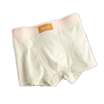 6 pieces of underwear for boys pure cotton antibacterial and breathable 2024 new high-end trendy boxer briefs for men