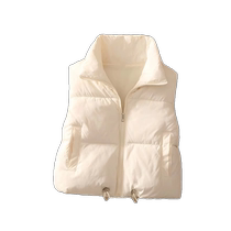 Короткий пуховый хлопковый жилет для женщин зимний новый стильный жилет утепленное пальто короткий пуховик