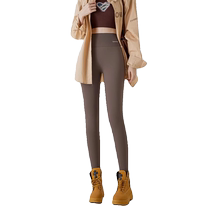 Little coffee-colored shark pants womens outer wear autumn and winter velvet thickened tight leggings Maillard Barbie yoga pants