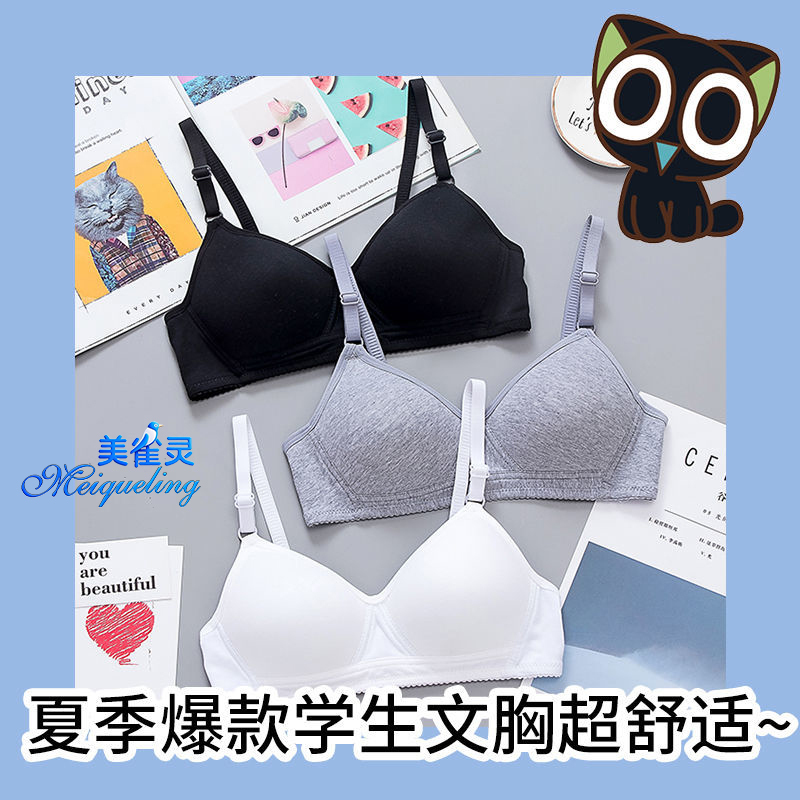 High School Girl Bra Underwear for Women Without Underwire, College Student Bra, Push-Up, Pure Cotton, Thin Style, Side Support, Anti-Sagging Bra