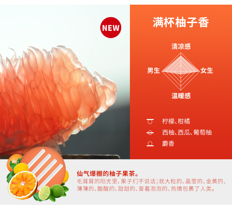 DAILY LAB 小金條車載香薰隨身香氛替換組合香錠補充裝出風口 4片/盒 琥珀粉胡椒 8款選